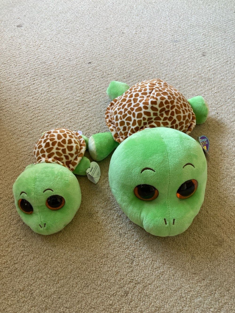 TY Beanie Boo Plush Turtle - Light Green with Brown Giraffe Shell